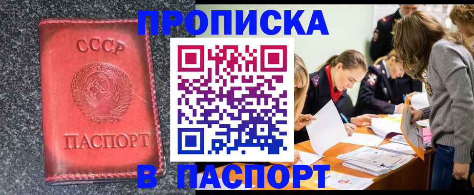 прописка для школы в Сочи
